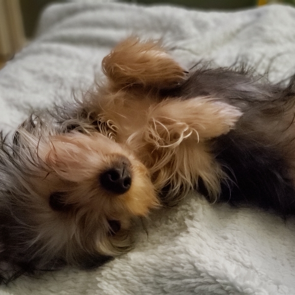 You're next favorite looks inexpensive&brand new - Picture 2 of 5